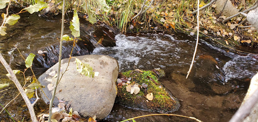 Country Club «The Club at ArrowCreek», reviews and photos, 2905 Arrowcreek Pkwy, Reno, NV 89511, USA