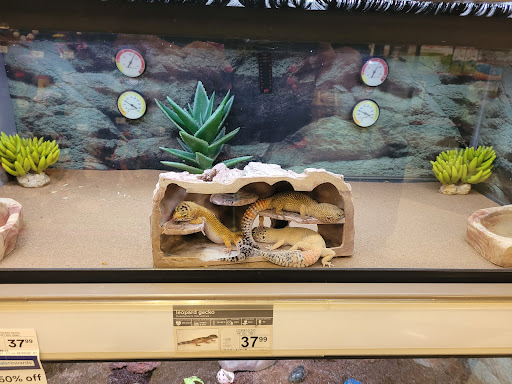 Pet Supply Store «Petco Animal Supplies», reviews and photos, 1401 E Spring Valley Rd, Richardson, TX 75081, USA