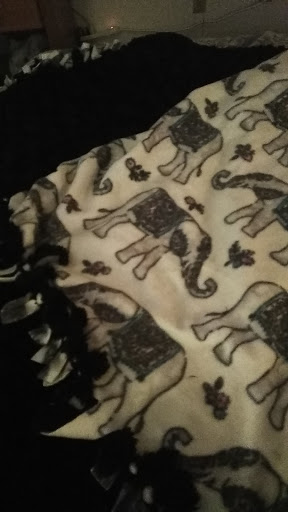 Fabric Store «Jo-Ann Fabrics and Crafts», reviews and photos, 25810 104th Ave SE, Kent, WA 98030, USA