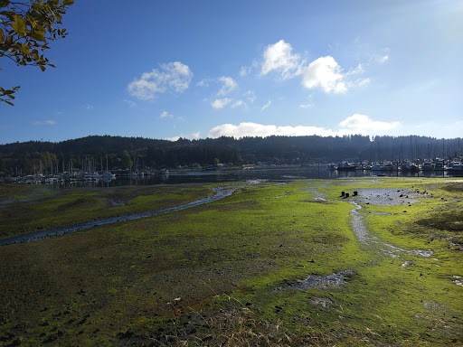 Gift Shop «Beach Basket Gift, Clothing & Christmas Shop», reviews and photos, 4102 Harborview Dr, Gig Harbor, WA 98332, USA