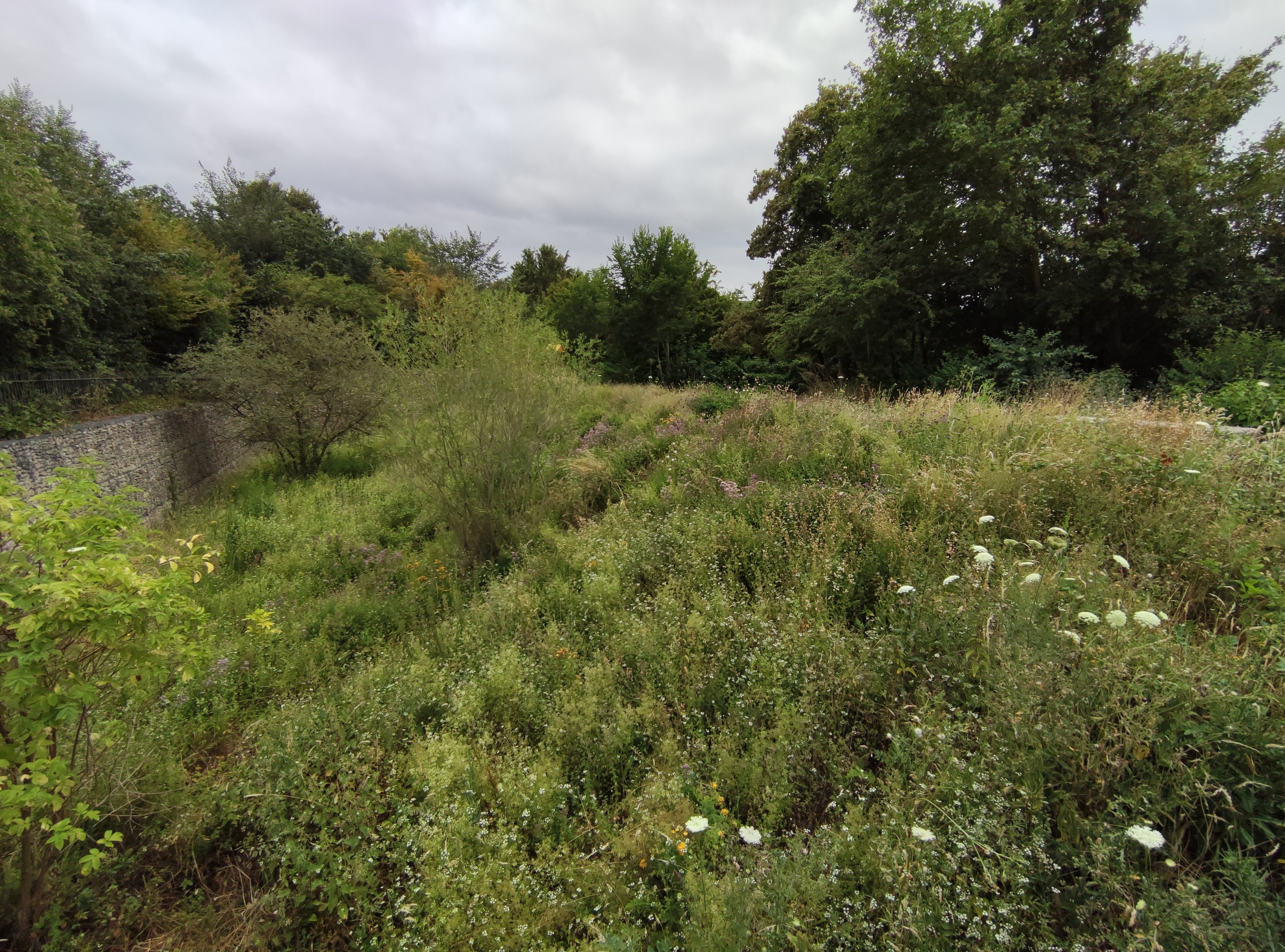 Photo n° 12 de l'avis de Sanjy.u fait le 25/07/2020 à 15:24