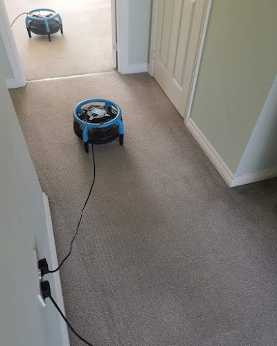 Mycare Carpet Cleaning Bristol - Bristol
