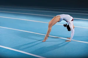 Palaestra Gymnastics Academy image