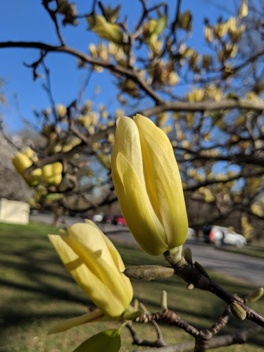 Park «Brandywine Park», reviews and photos, 1080 N Park Dr, Wilmington, DE 19802, USA