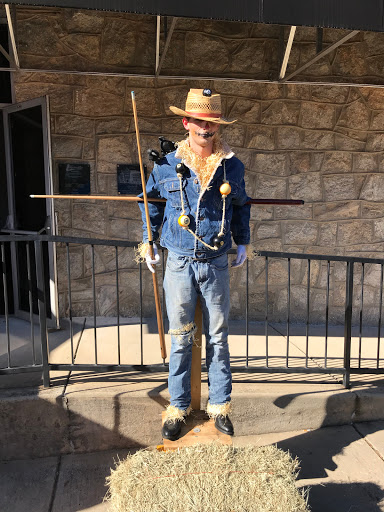 Billiards Supply Store «Southern Billiards, Inc.», reviews and photos, 4610 Atlanta Hwy, Loganville, GA 30052, USA