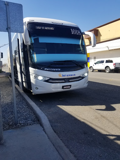 Bus Tour Tijuana