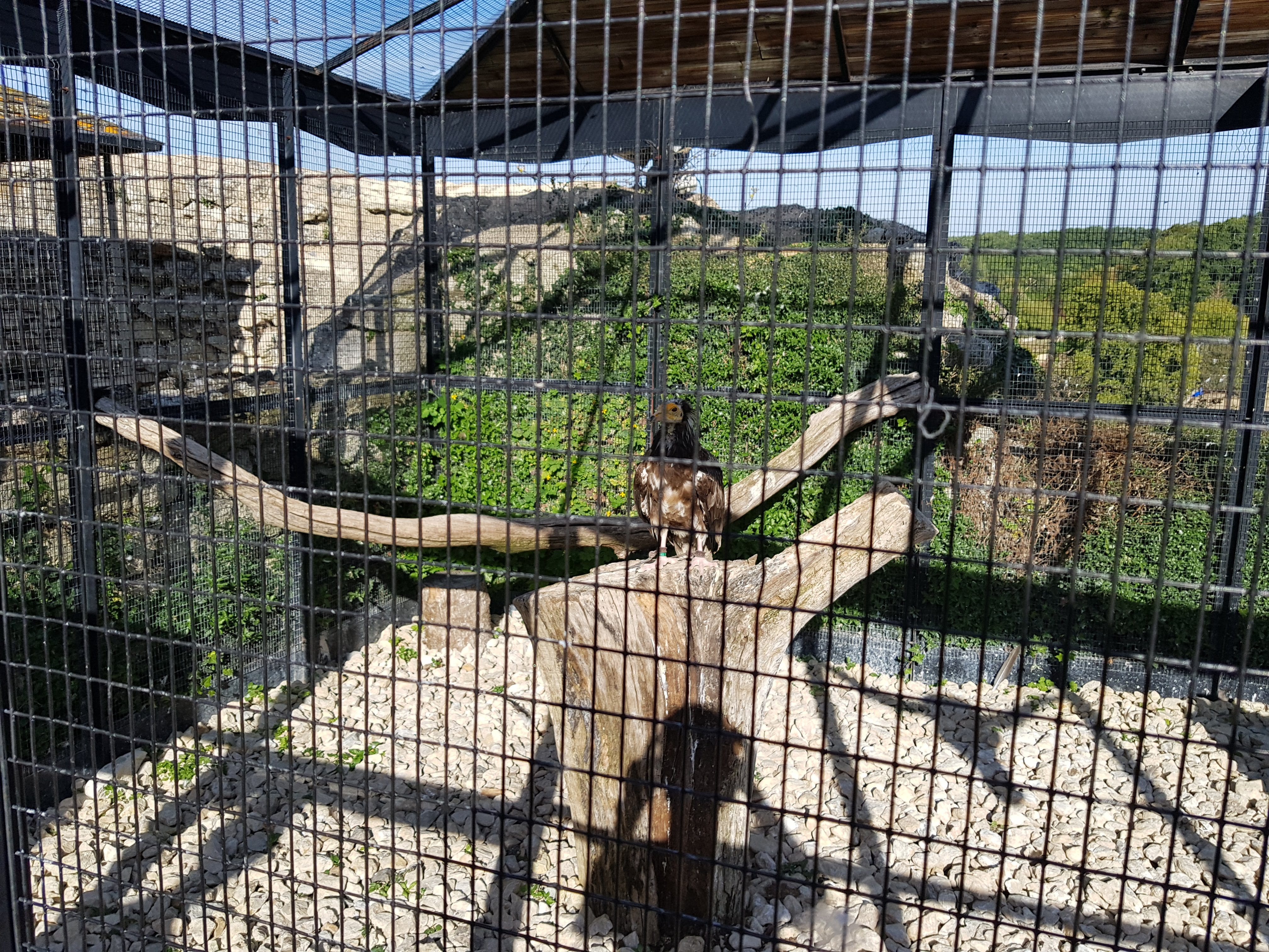 Photo n° 10 de l'avis de Alexandre.L fait le 24/09/2017 à 17:00
