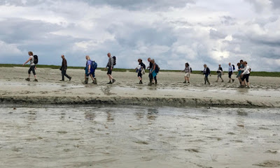 Sortie en Baie de Somme à Saint-Valery-sur-Somme
