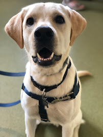 Animal Wellness Center