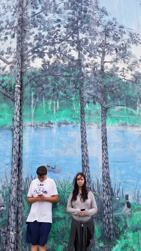 Nature Preserve «Mobbly Bayou Wilderness Preserve», reviews and photos, 423 Lafayette Blvd, Oldsmar, FL 34677, USA