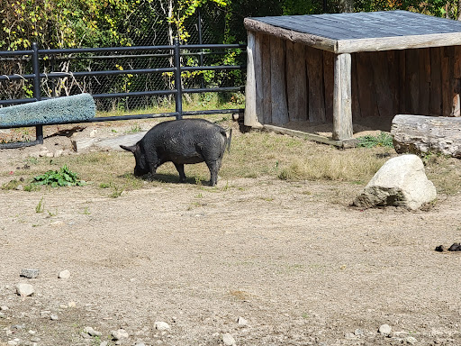 Zoo «Buttonwood Park Zoo», reviews and photos, 425 Hawthorn St, New Bedford, MA 02740, USA