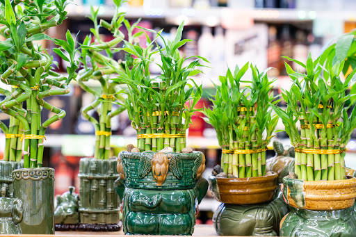 Supermarket «Welco Supermarket», reviews and photos, 7100 Fruitridge Rd, Sacramento, CA 95820, USA