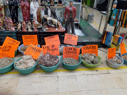 Mercado de mariscos Torreón