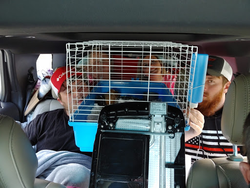 Pet Supply Store «Coastline Pet Supply», reviews and photos, 3530 Northgate Dr, Myrtle Beach, SC 29588, USA