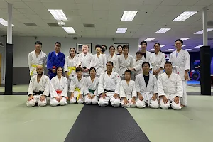 Top Judo image