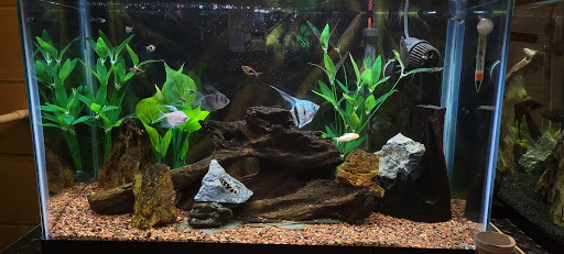 Pet Store «Wet Pets And Friends», reviews and photos, 3695 Washington Rd, Canonsburg, PA 15317, USA