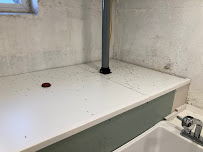 Terminix Commercial - Photo 6 - Car repair in Flushing, NY, Queens