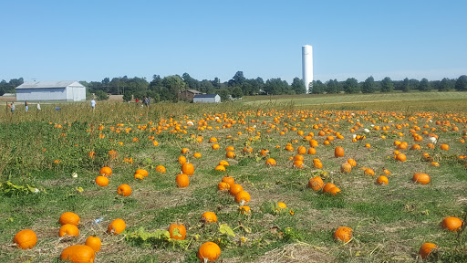 Produce Market «Parkway Produce», reviews and photos, 2601 Preston Hwy, Louisville, KY 40217, USA