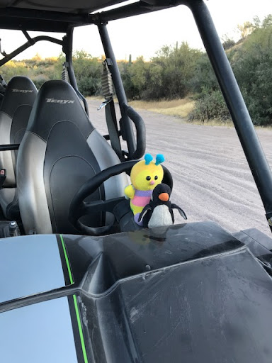 Tour Operator «Stellar Adventures», reviews and photos, 4026 E Broadway Rd, Phoenix, AZ 85040, USA