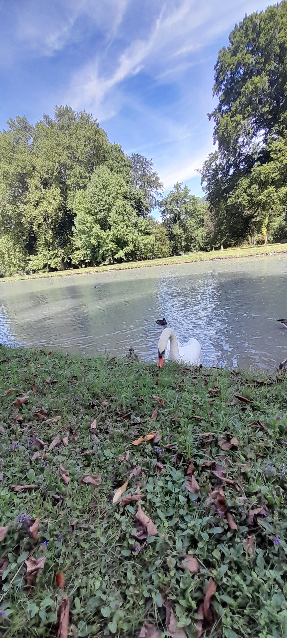 Photo n° 10 de l'avis de Radia.t fait le 06/09/2023 à 16:23