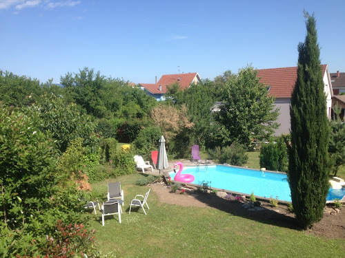 Lodge Gite des 3 cigognes Colmar