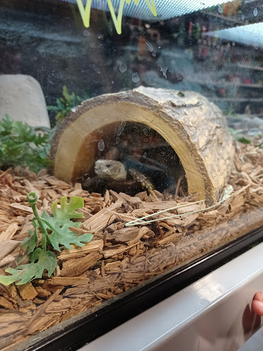 Pet Groomer «We Lov Pets», reviews and photos, 3853 Northpointe Dr, Zanesville, OH 43701, USA