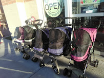 Premier Pet Supply - Photo 9 - Car repair in Rochester Hills, MI, Detroit