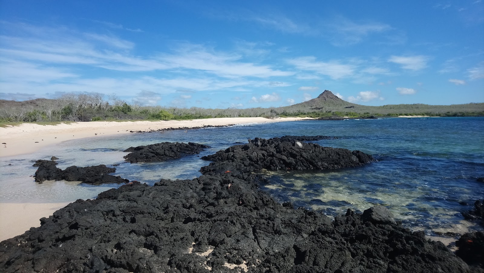 Φωτογραφία του Cerro Dragon Beach με φωτεινή άμμος και βράχια επιφάνεια