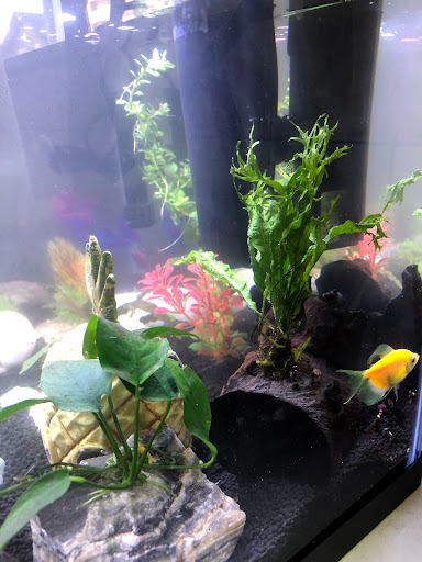 Pet Supply Store «Petco Animal Supplies», reviews and photos, 2911 W Main St, Bozeman, MT 59718, USA