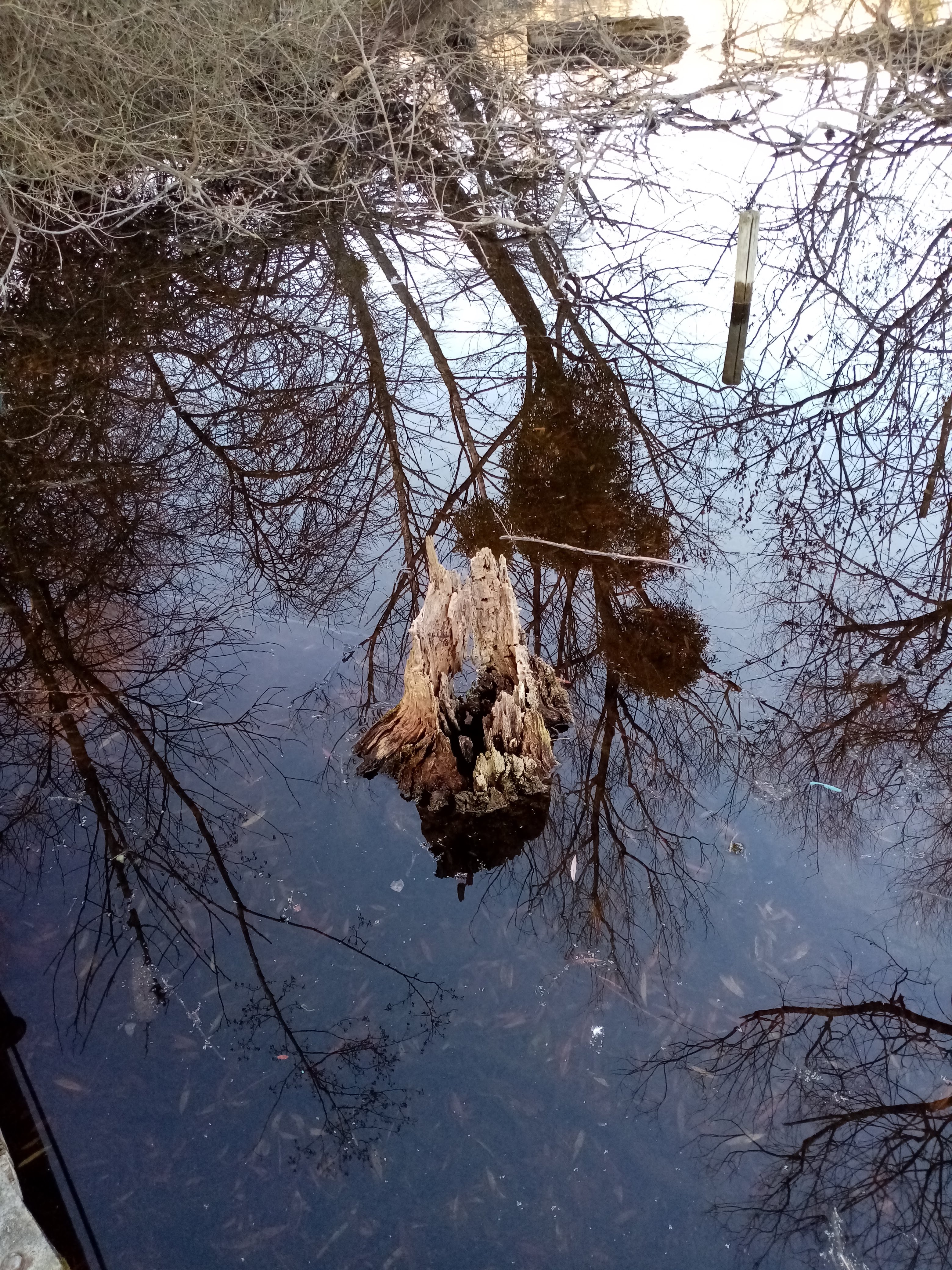 Photo n° 6 de l'avis de Isabelle.E fait le 07/03/2019 à 14:30