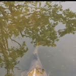 Photo n°2 de l'avis de Martin.e fait le 15/05/2023 à 11:09 sur le  Laarnis à Wilhelmshaven