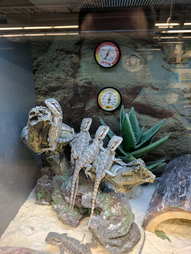 Pet Supply Store «Petco Animal Supplies», reviews and photos, 3800 S Tamiami Trail #20, Sarasota, FL 34239, USA