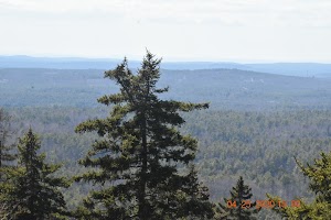 Barrett Mountain - photo 12