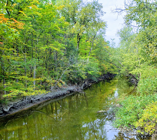 Nature Preserve «Harms Woods», reviews and photos, Harms Rd, Glenview, IL 60025, USA