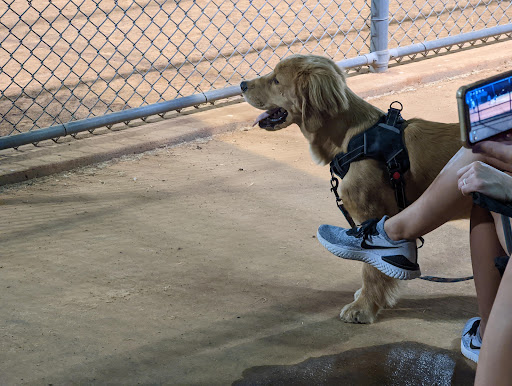 Park «Roanoke Community Park», reviews and photos, 201 Park Dr, Roanoke, TX 76262, USA