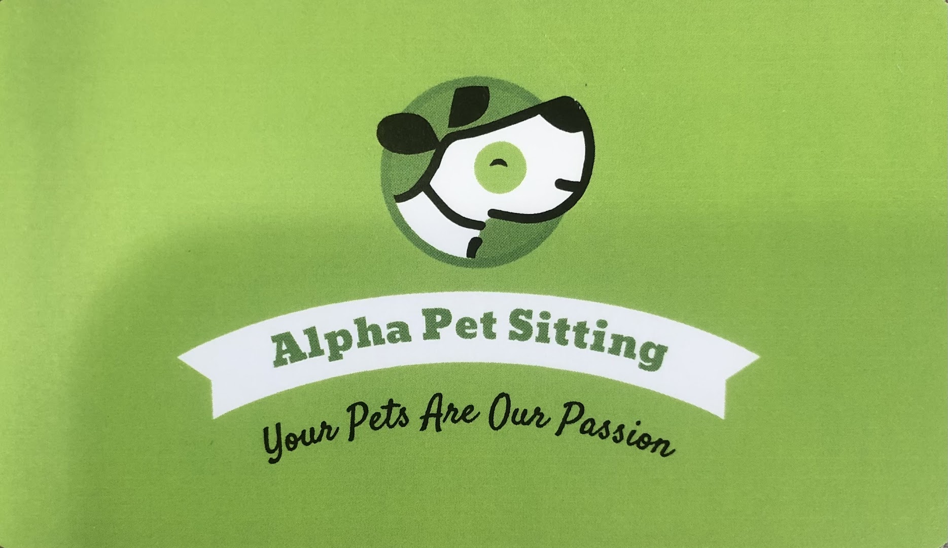 Alpha Pet Sitting