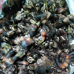 Photo n°4 de l'avis de joao.o fait le 03/09/2017 à 23:49 sur le  Three Angle Bows Cafe à Rogil