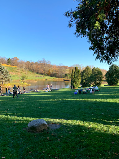 Winery «Millbrook Vineyards & Winery», reviews and photos, 26 Wing Rd, Millbrook, NY 12545, USA