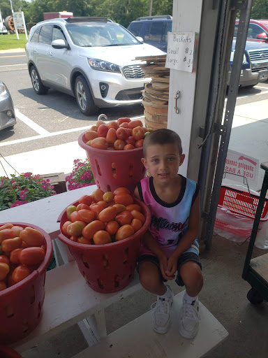 Produce Market «Stella Farms», reviews and photos, 459 Berlin New Freedom Rd, Berlin, NJ 08009, USA