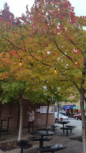 Movie Theater «Esquire Theatre», reviews and photos, 320 Ludlow Ave, Cincinnati, OH 45220, USA