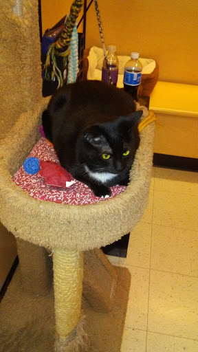 Pet Supply Store «PetSmart», reviews and photos, 3401 Erie Blvd E, Syracuse, NY 13214, USA