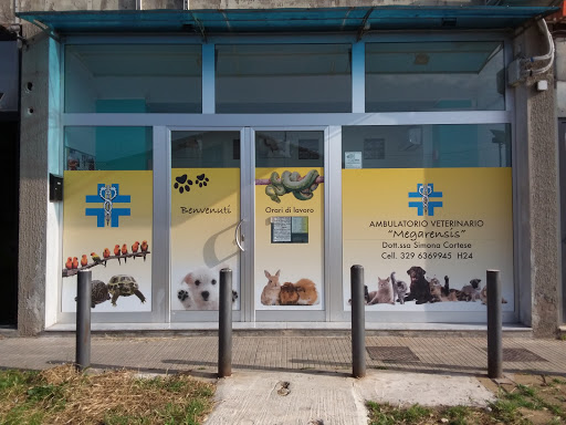 Pensioni per cani e dog hotel a Chirurgia Veterinaria Dottssa Cortese Simona