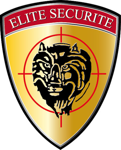 Agence de sécurité Elite Sécurité Privée Fretin