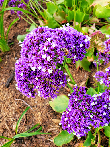 Shopping Mall «Canyon Crest Towne Centre», reviews and photos, 5227 Canyon Crest Dr, Riverside, CA 92507, USA