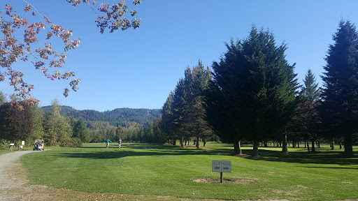 Golf Course «Twin Rivers Golf Course», reviews and photos, 4446 Preston-Fall City Rd SE, Fall City, WA 98024, USA