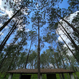 La Sierra Restaurant