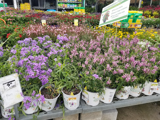 Home Improvement Store «The Home Depot», reviews and photos, 1315 US-19, Holiday, FL 34691, USA