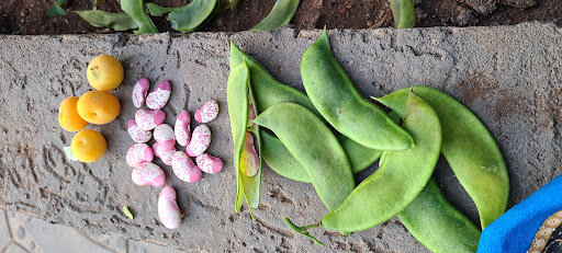 Florist «Convention Floral», reviews and photos, 5932 3rd St NW, Washington, DC 20011, USA