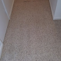 Foggy Carpet Cleaning Services - Photo 3 - Car repair in , Chula Vista