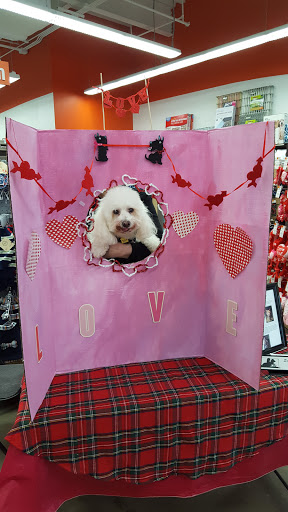 Pet Supply Store «Unleashed by Petco», reviews and photos, 6 Shipyard Dr #1f, Hingham, MA 02043, USA